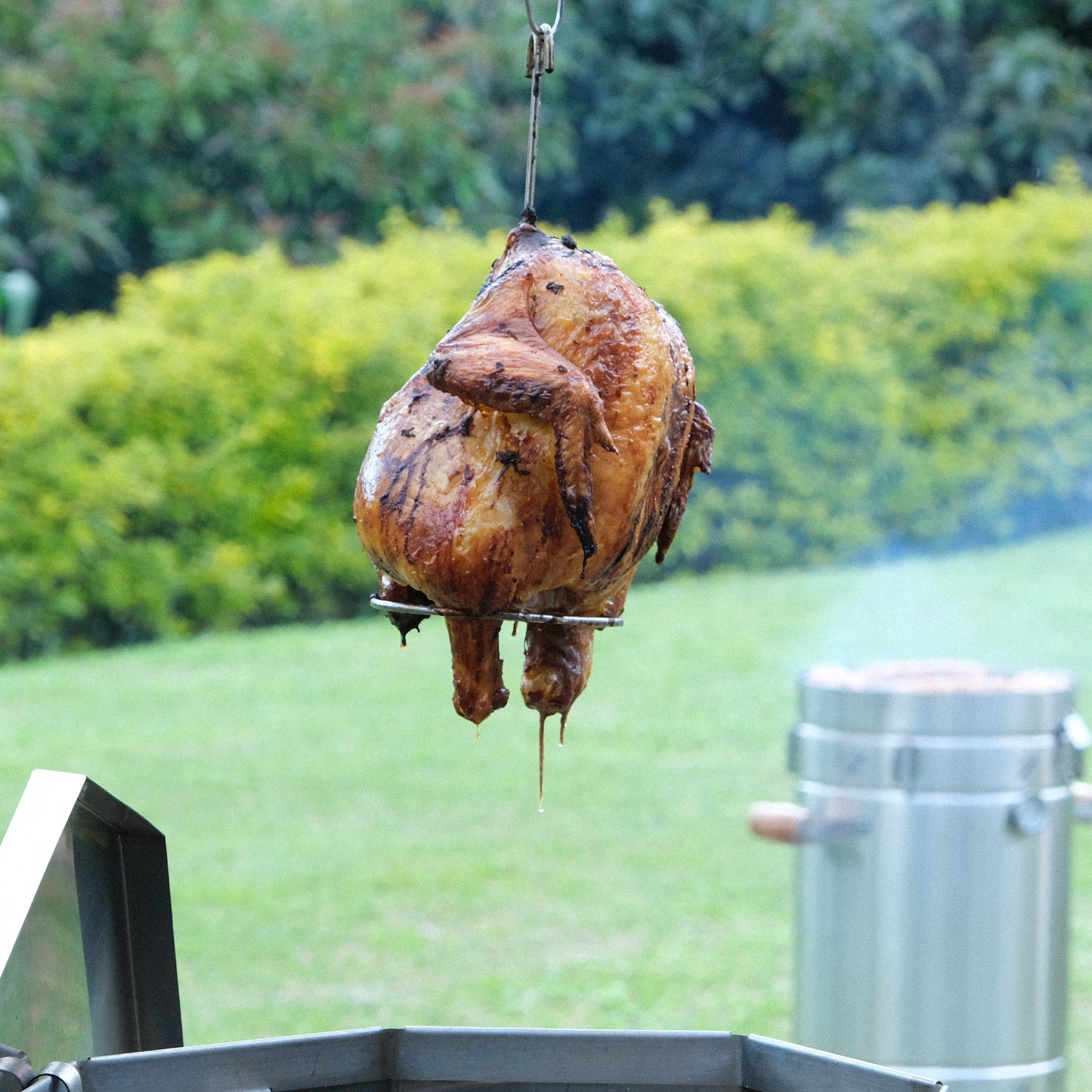 Accesorio para Pollo
