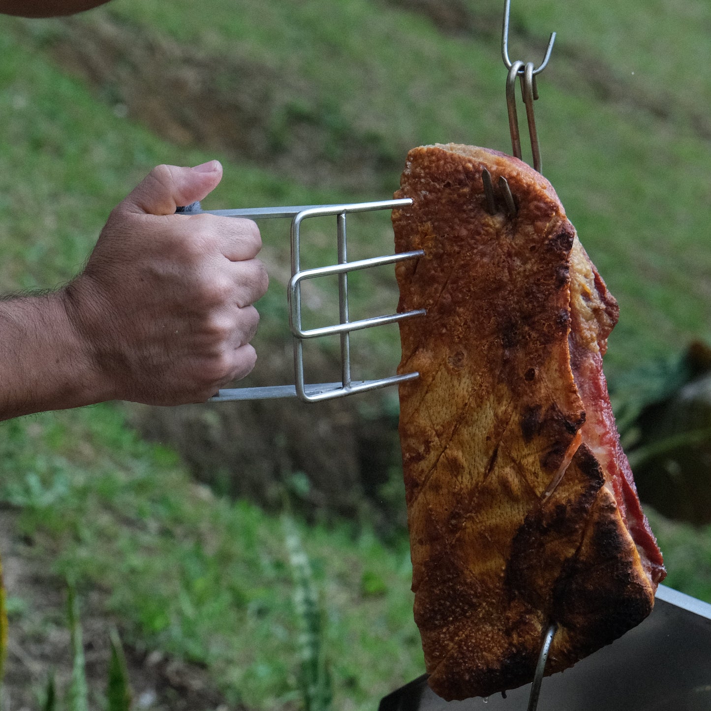 Garras de Oso en Acero